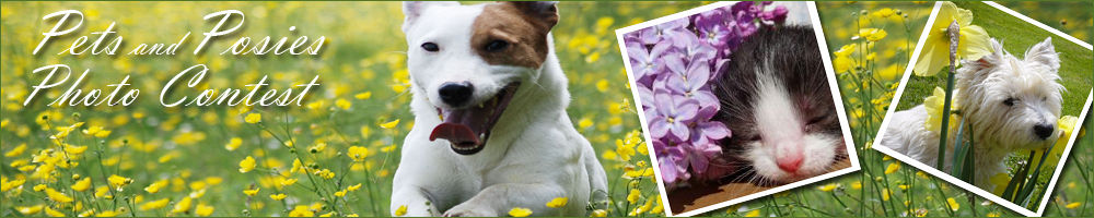 Pets & Posies Photo Contest