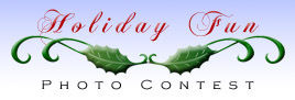 Marco Island Florist Holiday Fun Photo Contest