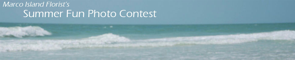 Summer Fun Photo Contest