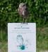 Marco Owl On Strawberry Ct.