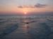 Romantic Marco Island Sunset