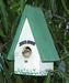 ZEEK the Frog and his house