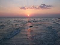 Romantic Marco Island Sunset