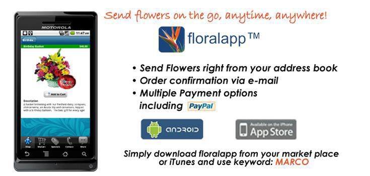 Everyday - Download our floralapp today!