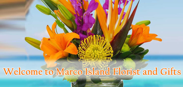 Welcome to Marco Island Florist and Gifts. You one stop shopping website.