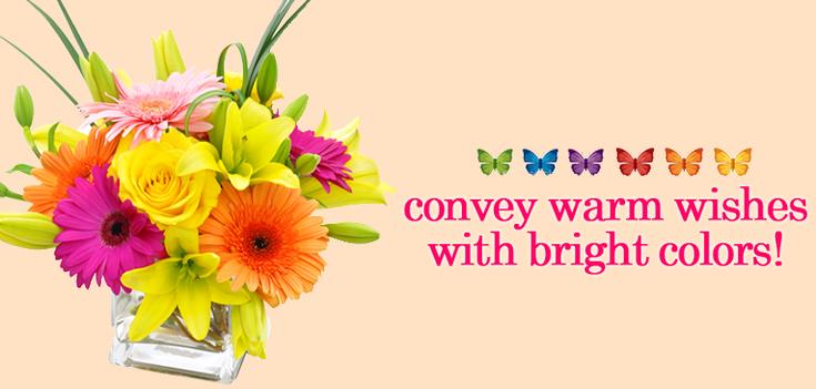 Get Well - Brighten up their day in a special way.