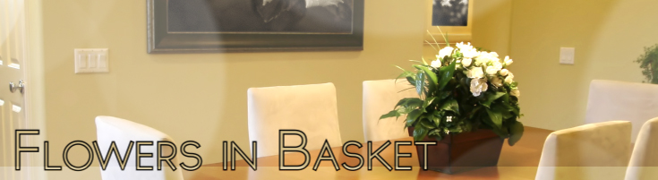 Basket Flowers