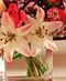 Vased Flowers