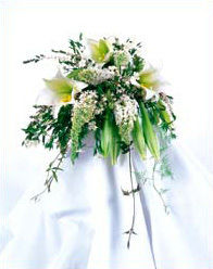 Weddings at Marco Island Florist
