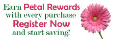 Marco Island Florist
