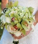 Green Hydrangea, Green Orchids and White Roses