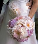 Peonies & Gerbera Daisies