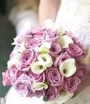 Beautiful Violet Roses & White Mini Calla Lilies