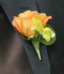 Light Orange Rose with a Green Dendrobium Orchid
