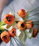 Calla Lily & Tulip Dream