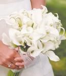 Mini White Calla Lily Bouquet