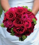A Hot Pink and Red Rose Masterpiece