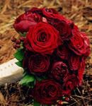 Deep Red Roses and Hypericum