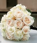 All Cream Colored Roses