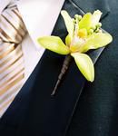Cymbidium Orchid Boutonniere