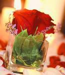 Grand Prix Red Roses