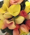 Callas and French Tulips
