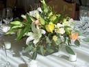 Fragrant and light