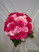 Passionate Pink