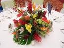 Tropical Mixture