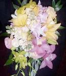 Orchids & Lilies