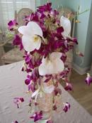 Orchid Cascade