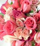 Pink Rose Combination