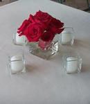 Romantic Red Roses