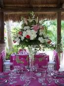 Perfect in Pink