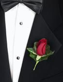 A rose, available in many colors