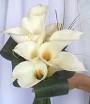 White Calla Lillies