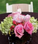 Green & Pink Beauty
