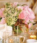 Sweet Pink Roses