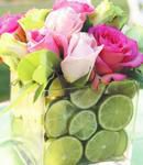 "Pink Roses with Cut Limes"