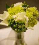 Green Hydrangea, White Roses & Berries