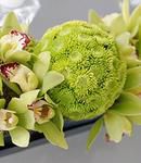 Low, Rectangular Tablescapes