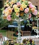Classically Romantic Roses