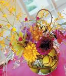 Colorful Mix of Orchids, Fruit, Twigs & More