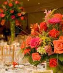 Tall, Vibrant & Tropical Mix
