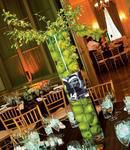 Green Apples, Limes & Orchids
