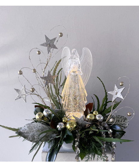 Special Angel Winter