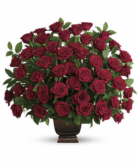 Red Rose Tribute