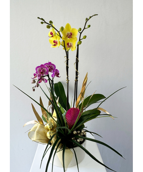 Golden Orchid Garden