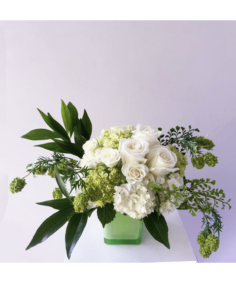 Green  Envy