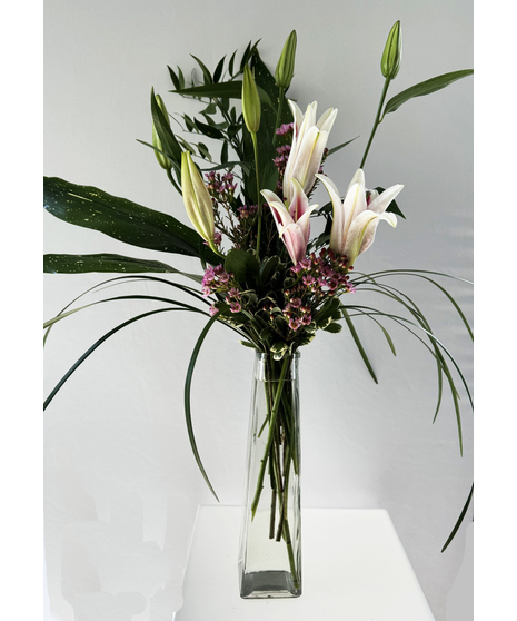 Sensational Stargazers